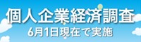 個人企業経済調査